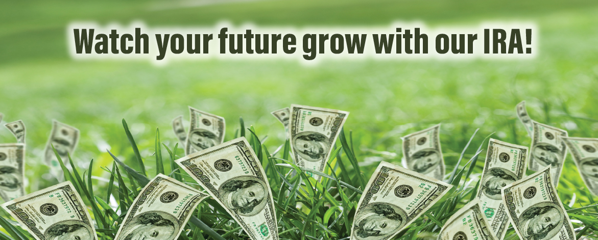 Hundred-dollar bills growing from a green field, symbolizing the growth of savings with GTSB's IRA.